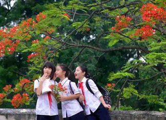Giải mã bí ẩn giấc mơ thấy đi học có điềm báo gì