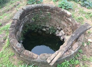 ngu mo thay gieng nuoc (1)