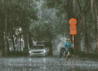Mơ thấy mưa đánh con gì? Là điềm báo cát hay hung