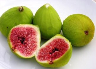 Nằm mơ thấy quả sung có điềm báo gì, đánh con gì ăn chắc