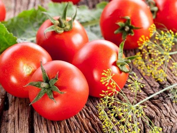 Liệu nhìn thấy quả cà chua báo hiệu điều gì sắp đến?