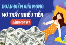 Điềm báo từ giấc mơ thấy rất nhiều tiền