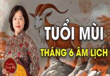 Vì sao Tuổi Mùi nên du lịch vào tháng 6?