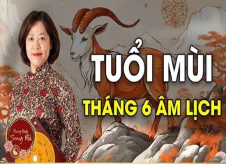 Vì sao Tuổi Mùi nên du lịch vào tháng 6?