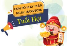 Tử vi tuổi Hợi ngày 13/5/2025 gợi ý con số tài lộc gõ cửa