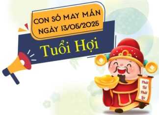 Tử vi tuổi Hợi ngày 13/5/2025 gợi ý con số tài lộc gõ cửa