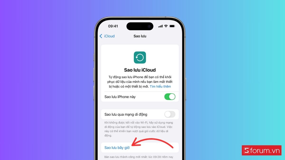 Sao lưu dữ liệu iPhone Sao lưu dữ liệu iPhone