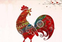 Tử vi tuổi Tân Dậu ngày 15/9/2025 đi tìm số đổi vận