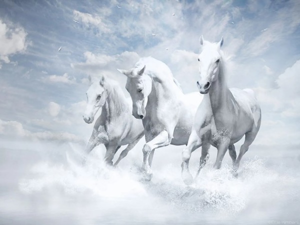 Tử vi tuổi Mậu Ngọ ngày 20/11/2025 đi tìm số đổi vận