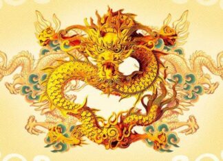 Tử vi con số may mắn tuổi Canh Thìn ngày 29/12/2025