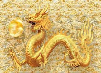 Tổng hợp con số may mắn tuổi Nhâm Thìn ngày 16/1/2026 Tổng hợp con số may mắn tuổi Nhâm Thìn ngày 16/1/2026