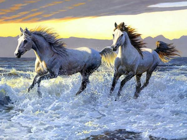 Con số tài lộc tuổi Canh Ngọ ngày 11/1/2026 hút tài vận